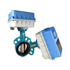 電動蝶閥（內置邊緣計算器 M-bus通訊）