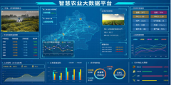 智慧農業灌溉平臺